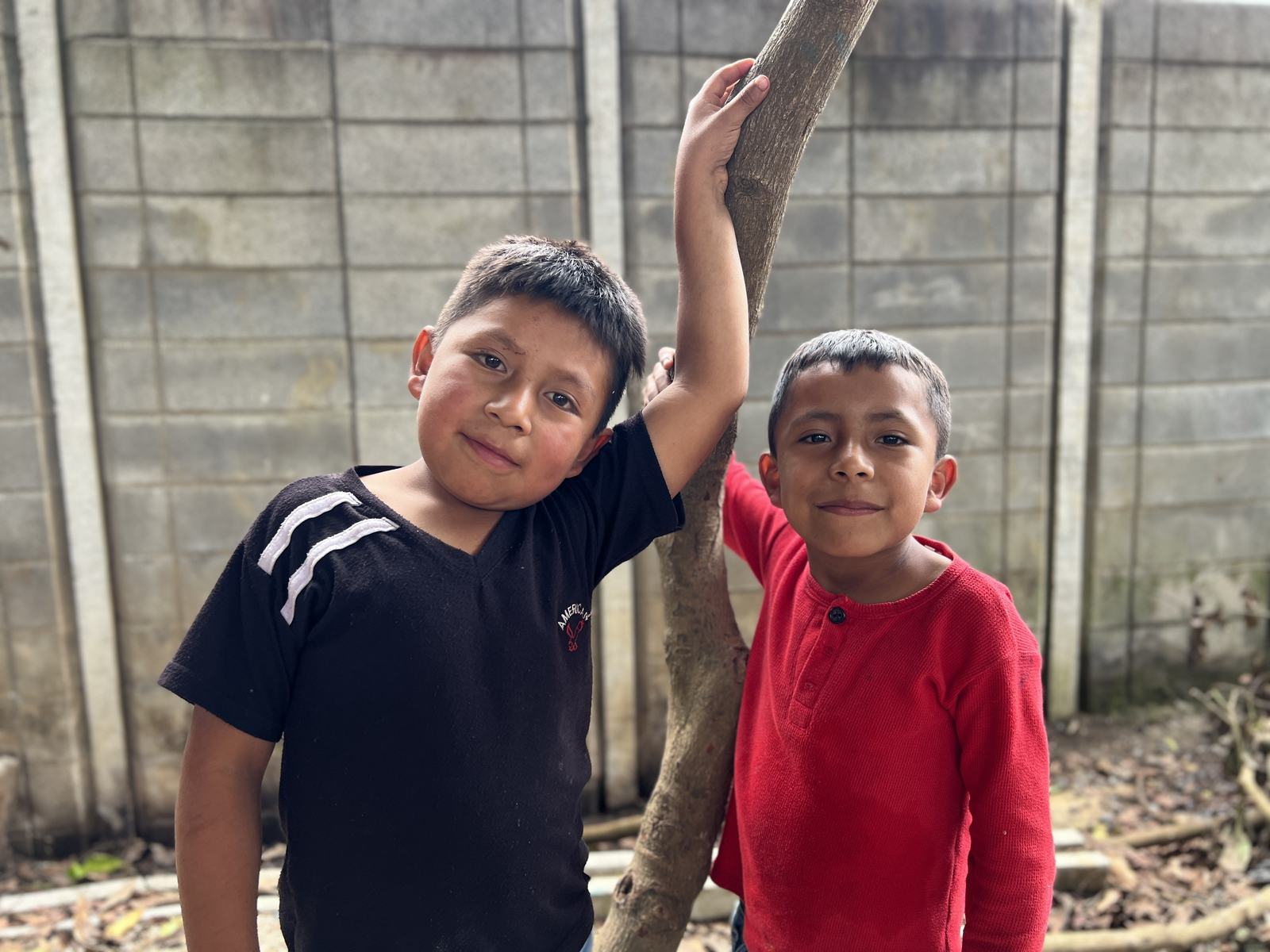 little guys on a tree - aleluya