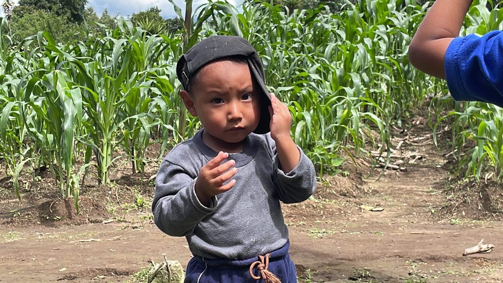 Child with corn and hat ALELUYA