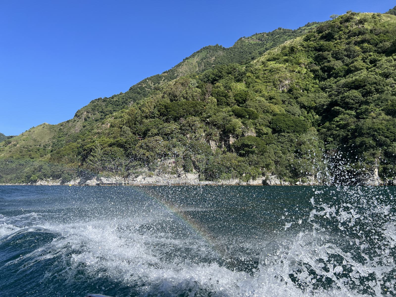 splashes aleluya